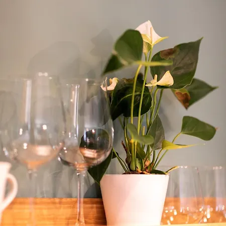 Appartement Blue Shadow - Moxa - New Building