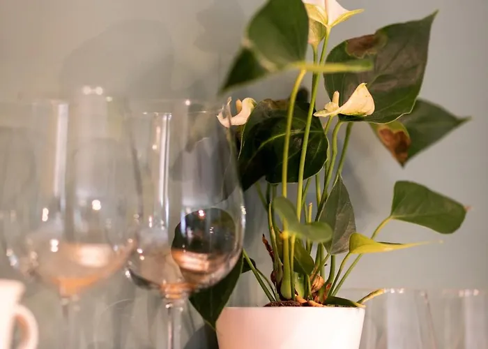 Apartament Blue Shadow - Moxa - New Building